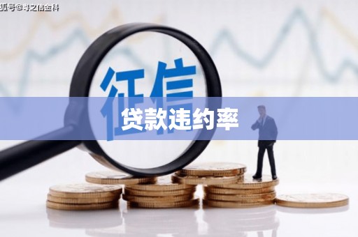 茄子河贷款违约率