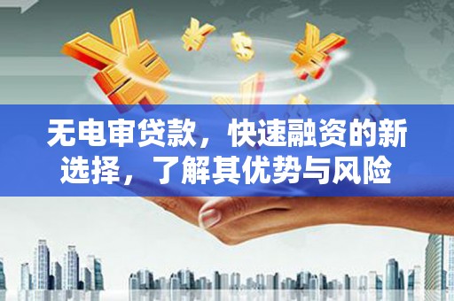 茄子河无电审贷款，快速融资的新选择，了解其优势与风险