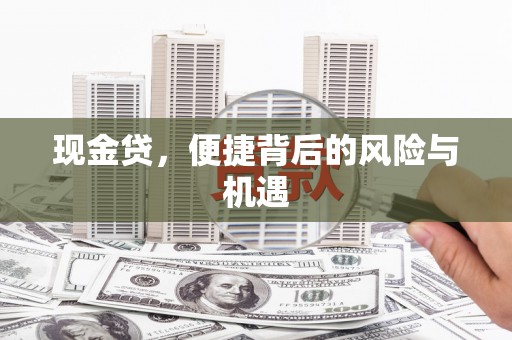 茄子河现金贷，便捷背后的风险与机遇
