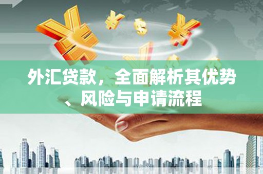 茄子河外汇贷款，全面解析其优势、风险与申请流程