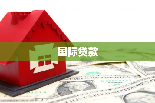茄子河国际贷款