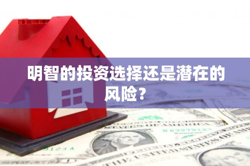 茄子河明智的投资选择还是潜在的风险？