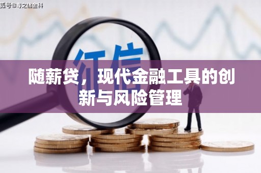茄子河随薪贷，现代金融工具的创新与风险管理