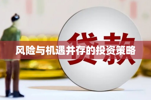 茄子河风险与机遇并存的投资策略