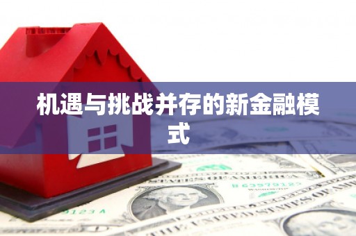 茄子河机遇与挑战并存的新金融模式