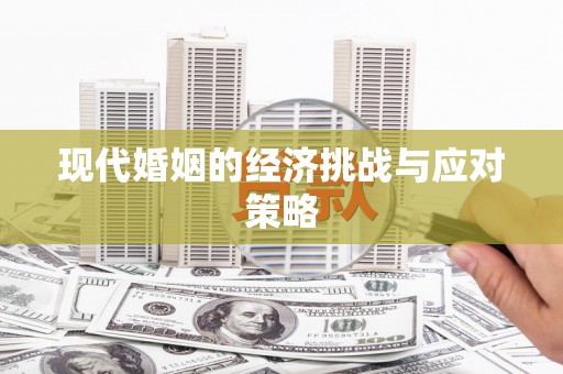 茄子河现代婚姻的经济挑战与应对策略