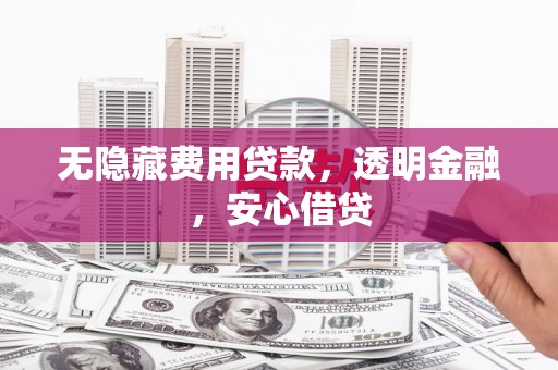 茄子河无隐藏费用贷款，透明金融，安心借贷