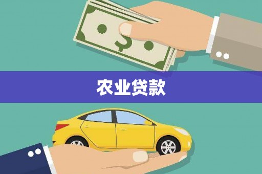 茄子河农业贷款