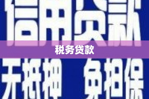 茄子河税务贷款