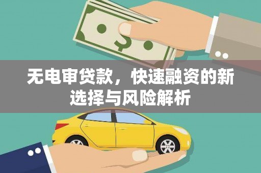 茄子河无电审贷款，快速融资的新选择与风险解析