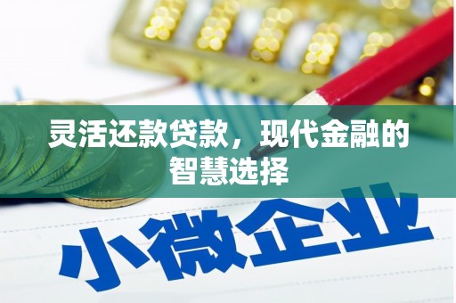 茄子河灵活还款贷款，现代金融的智慧选择