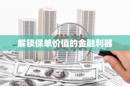 茄子河解锁保单价值的金融利器