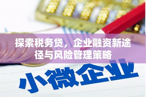 茄子河探索税务贷，企业融资新途径与风险管理策略