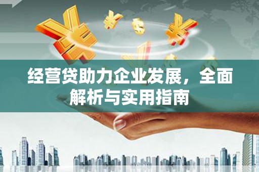 茄子河经营贷助力企业发展，全面解析与实用指南