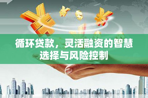 茄子河循环贷款，灵活融资的智慧选择与风险控制