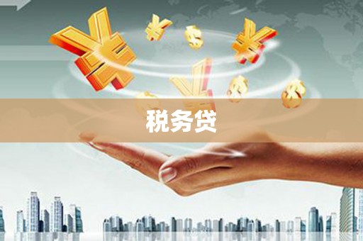 茄子河税务贷