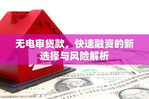 茄子河无电审贷款，快速融资的新选择与风险解析