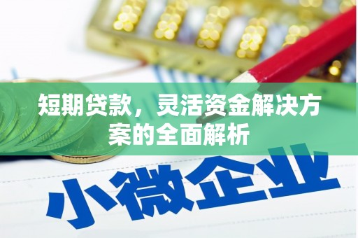 茄子河短期贷款，灵活资金解决方案的全面解析
