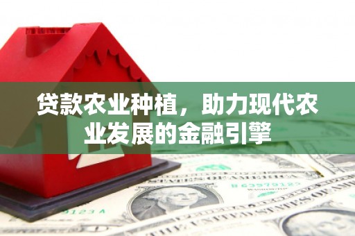茄子河贷款农业种植，助力现代农业发展的金融引擎