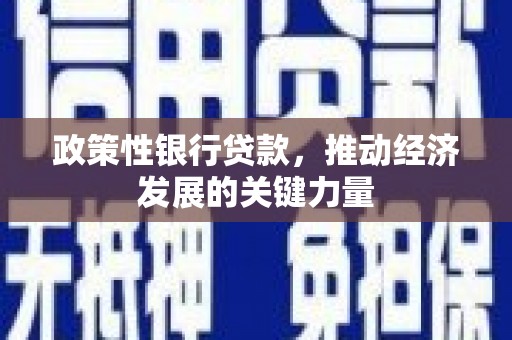 茄子河政策性银行贷款，推动经济发展的关键力量