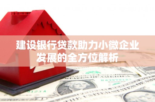 茄子河建设银行贷款助力小微企业发展的全方位解析