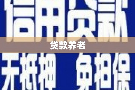 茄子河贷款养老