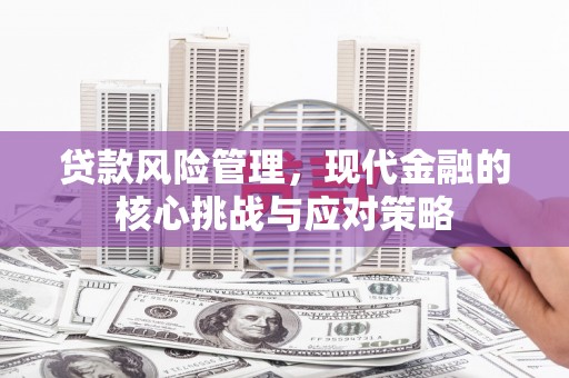 茄子河贷款风险管理，现代金融的核心挑战与应对策略