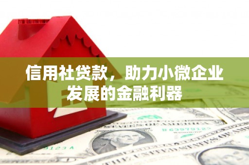 茄子河信用社贷款，助力小微企业发展的金融利器