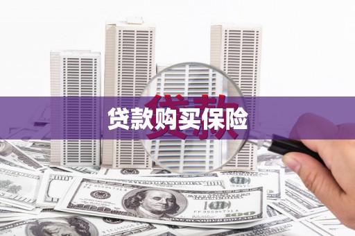 茄子河贷款购买保险