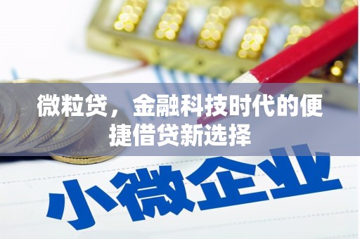 茄子河微粒贷，金融科技时代的便捷借贷新选择