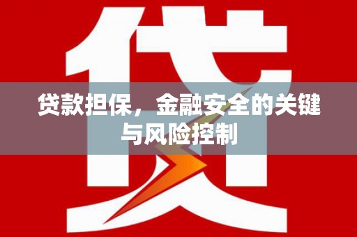 茄子河贷款担保，金融安全的关键与风险控制