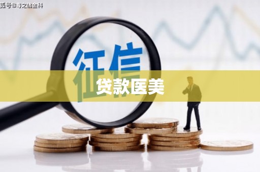 茄子河贷款医美