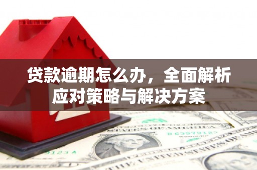 茄子河贷款逾期怎么办，全面解析应对策略与解决方案