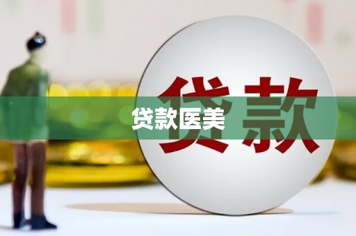 茄子河贷款医美