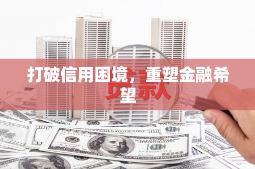 茄子河打破信用困境，重塑金融希望