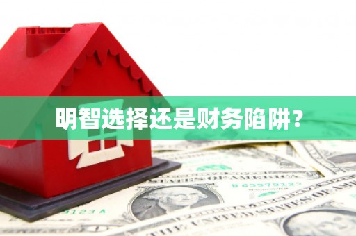 茄子河明智选择还是财务陷阱？
